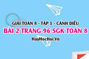 Giải bài 2 trang 96 Toán 8 Tập 1 SGK Cánh Diều